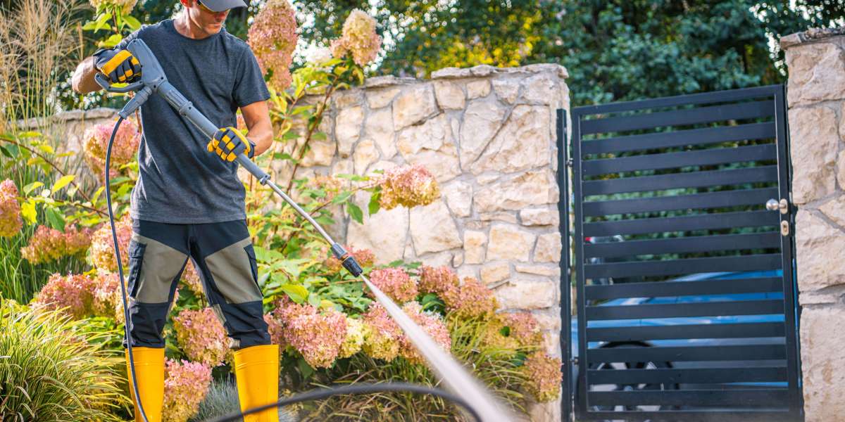 The History Of Professional Pressure Washer