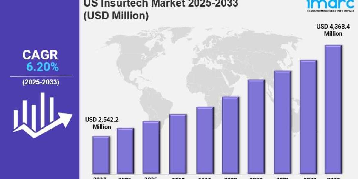 US Insurtech Market Market Share, Size, In-Depth Analysis and Forecast 2025-2033