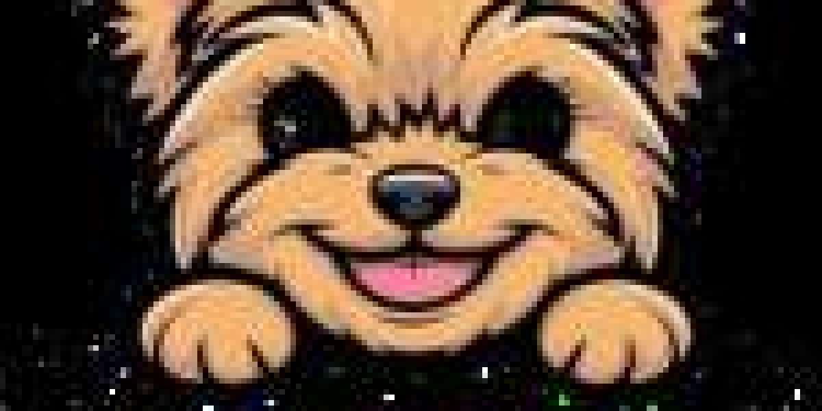 An In-Depth Look Back: How People Talked About Buy a Mini Yorkie 20 Years Ago