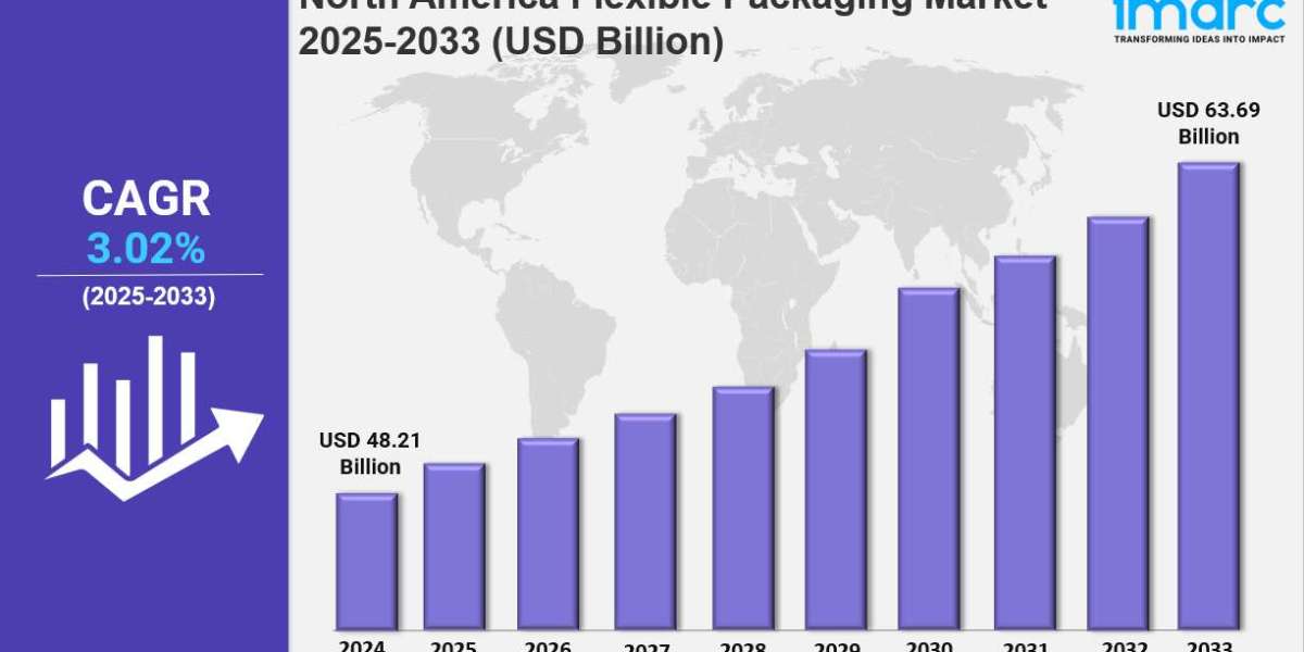 North America Flexible Packaging Market Market Share, Size, In-Depth Analysis and Forecast 2025-2033