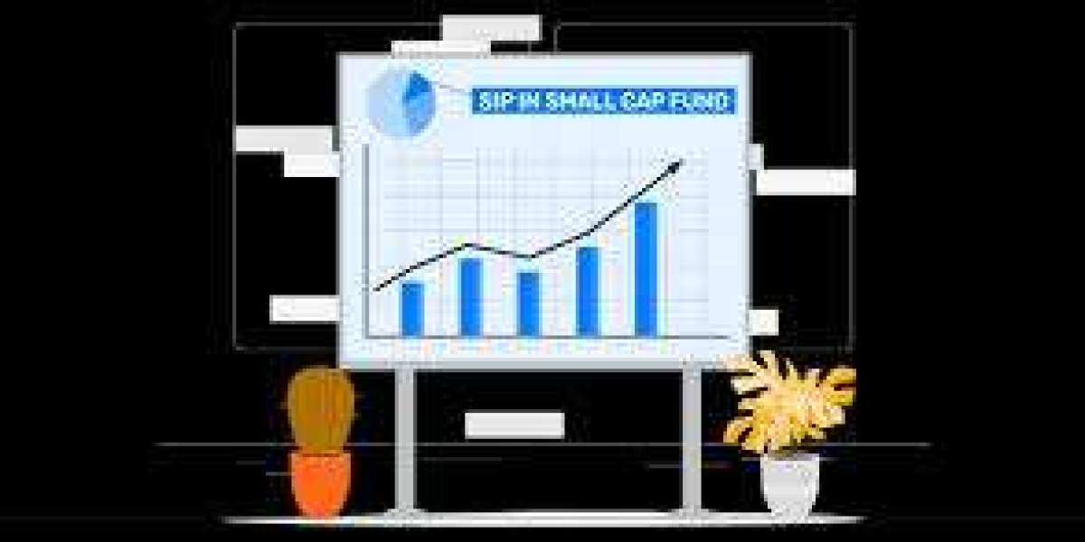 BSE Smallcap: Why Investors Are Watching Closely