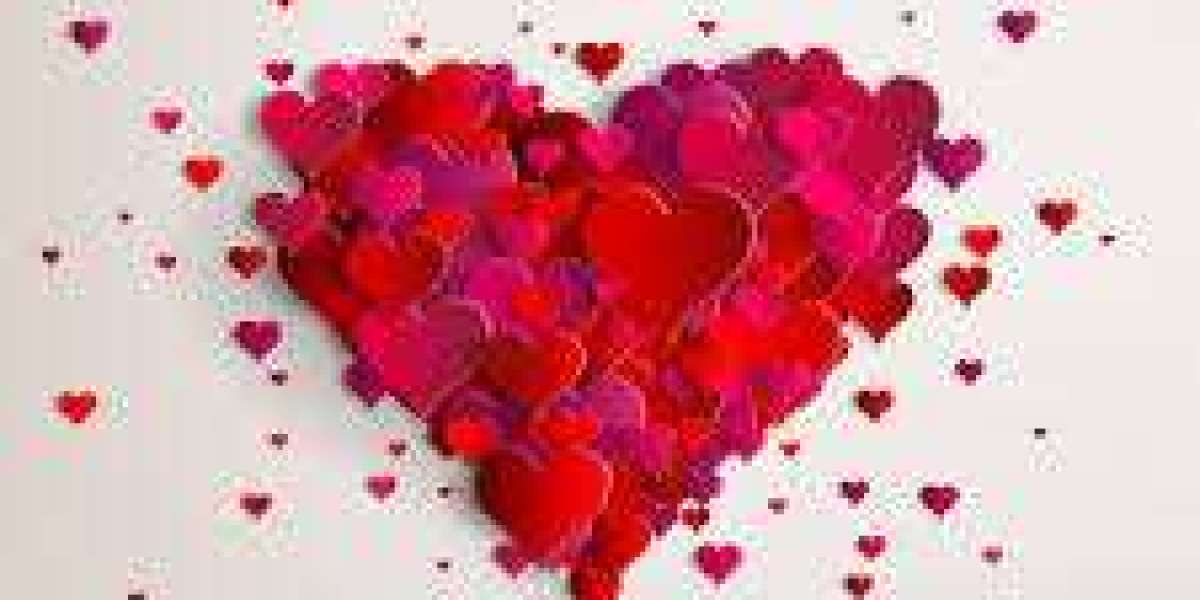 Finding Rhythm in the Quiet: How a Photo of Moss Changed Everything