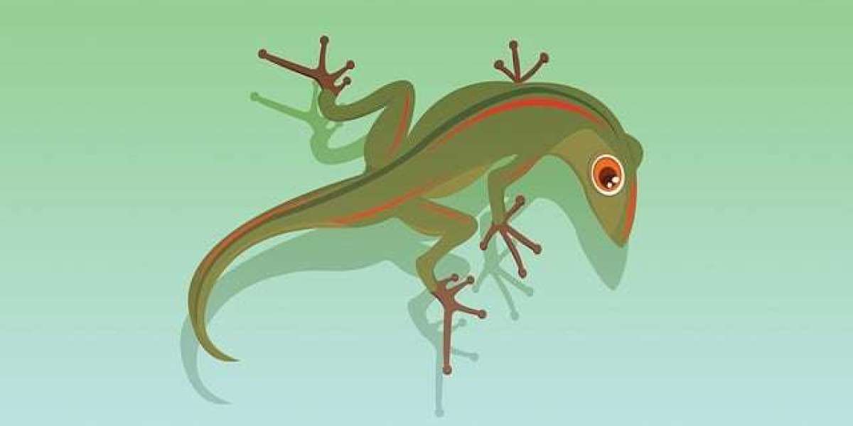 Diyarbakır Ev Dul Escort Diyarbakır Escort