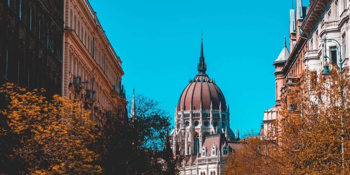 Why Do So Many People Would Like To Learn More About Hungary License Application?