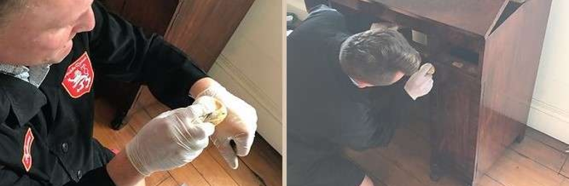 Double Queue Restoration Cover Image