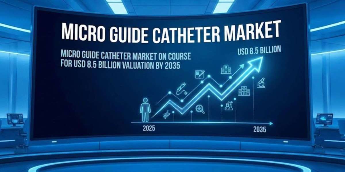 Micro Guide Catheter Market Growth Forecast: North America and Europe Lead