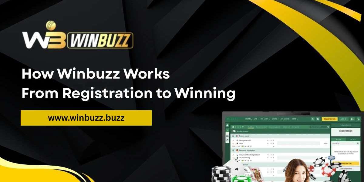How Winbuzz Works From Registration to Winning