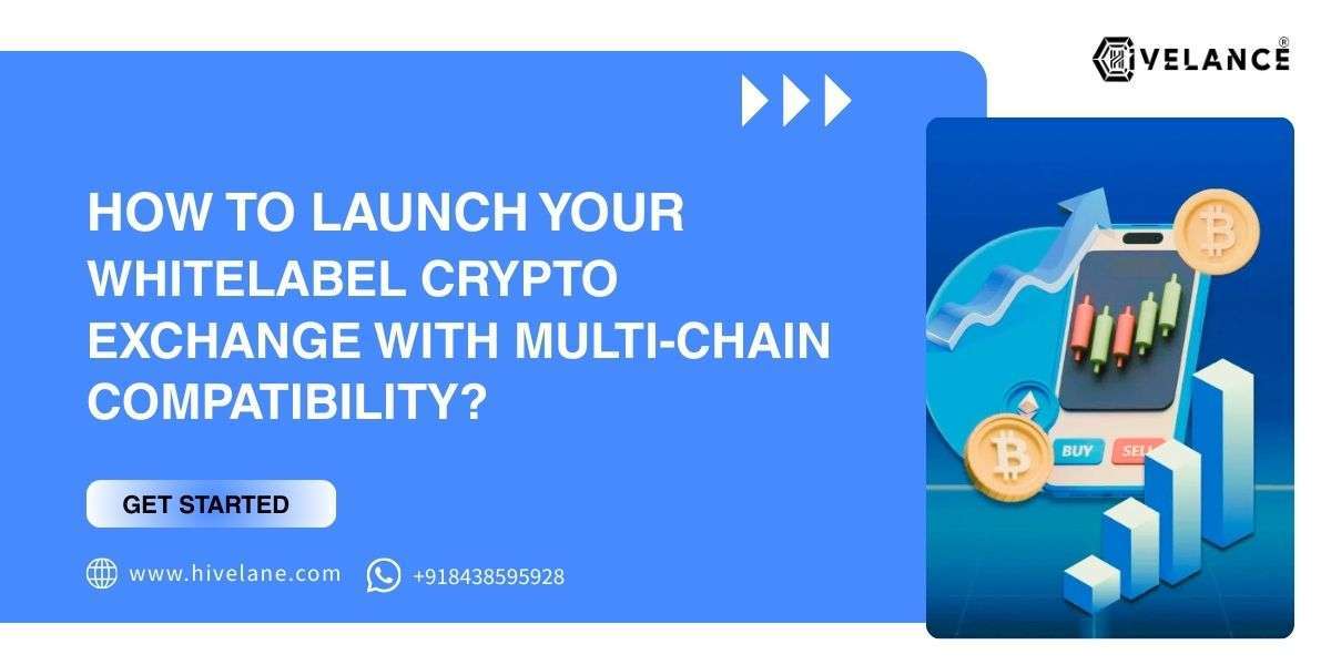 How to Launch Your Whitelabel Crypto Exchange With Multi-Chain Compatibility