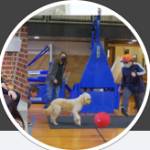 Wye River Upper School Profile Picture