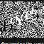 Hemsworth Chris Profile Picture