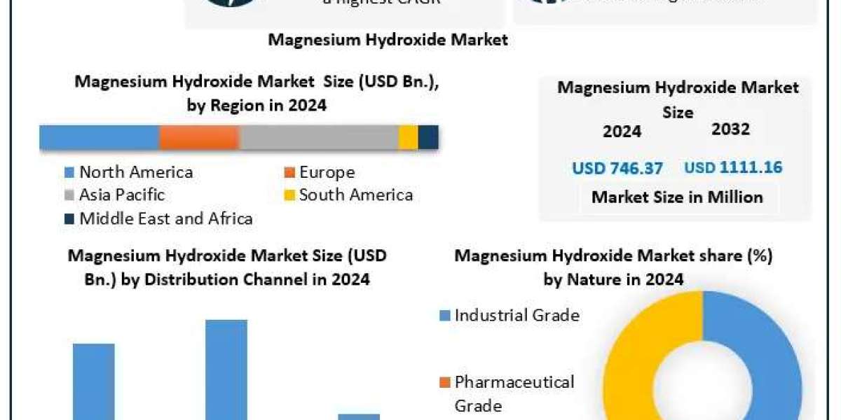 Magnesium Hydroxide Market Size, Segmentation, and Industry Opportunities (2025-2032)