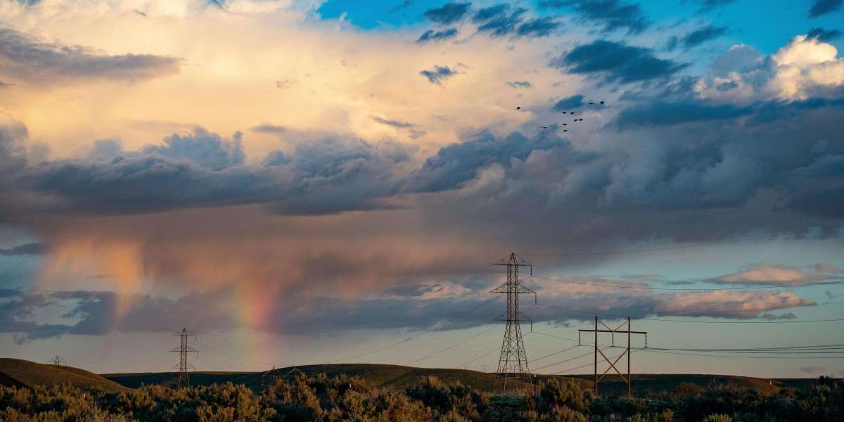 eznpc Where to bank on the busted Cold Wyvern Oracle Druid