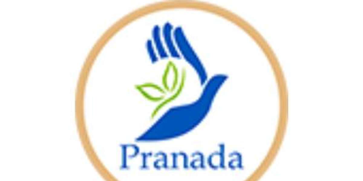 Wellness Products Online India: Your Complete Guide to a Healthier Lifestyle