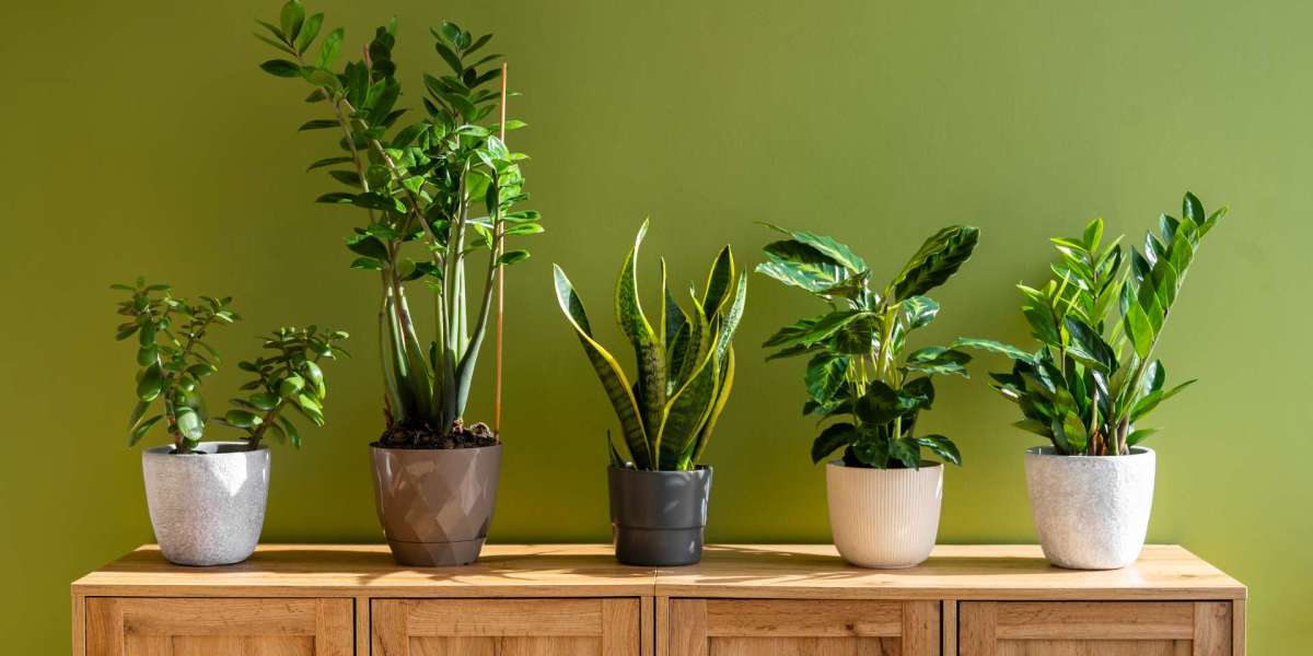 Best Interior Designer in Pune: Transforming Homes and Offices with Style & Functionality