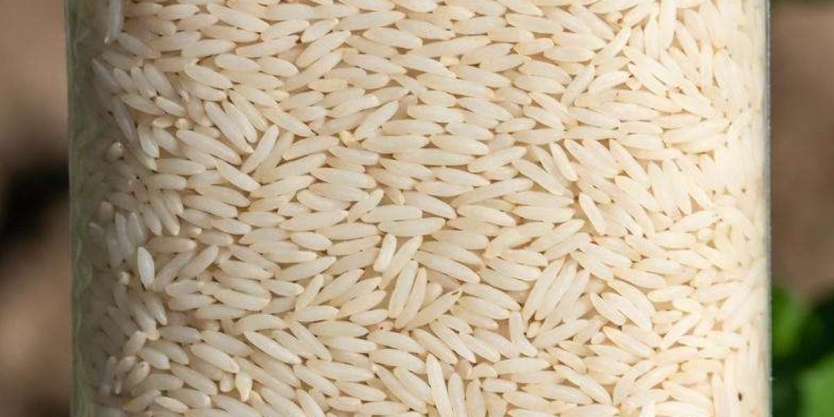 Safeena Food’s Tips for Identifying the Best Rice in Pakistan