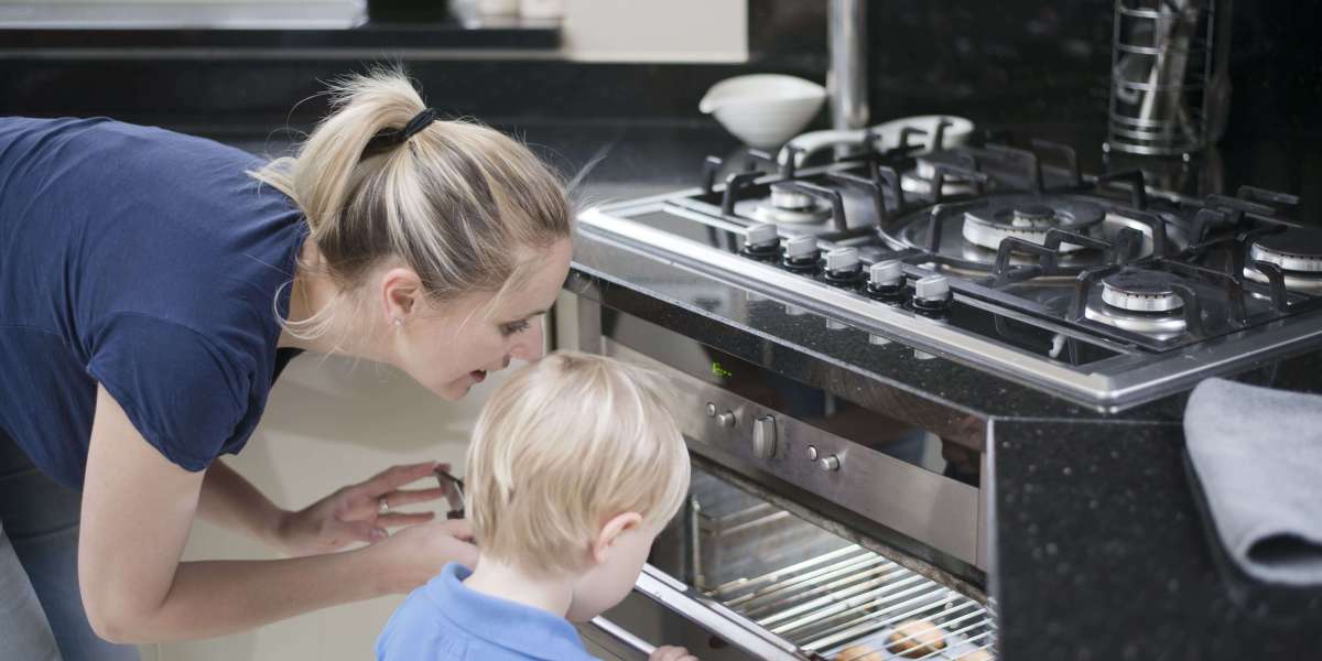 9 . What Your Parents Taught You About Electric Integrated Oven