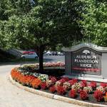 Audubon Plantation Ridge profile picture