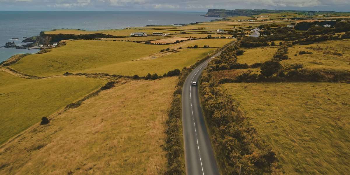 What's The Current Job Market For Order Genuine Driver's License Professionals Like?