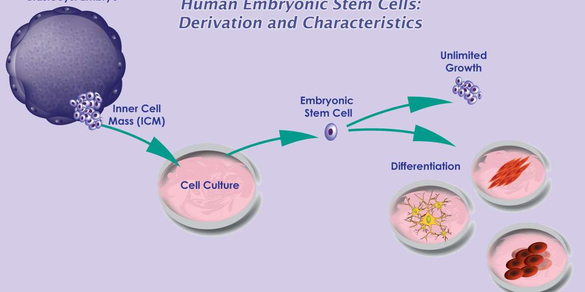 Clinical Trials Shaping the Human Embryonic Stem Cell Market