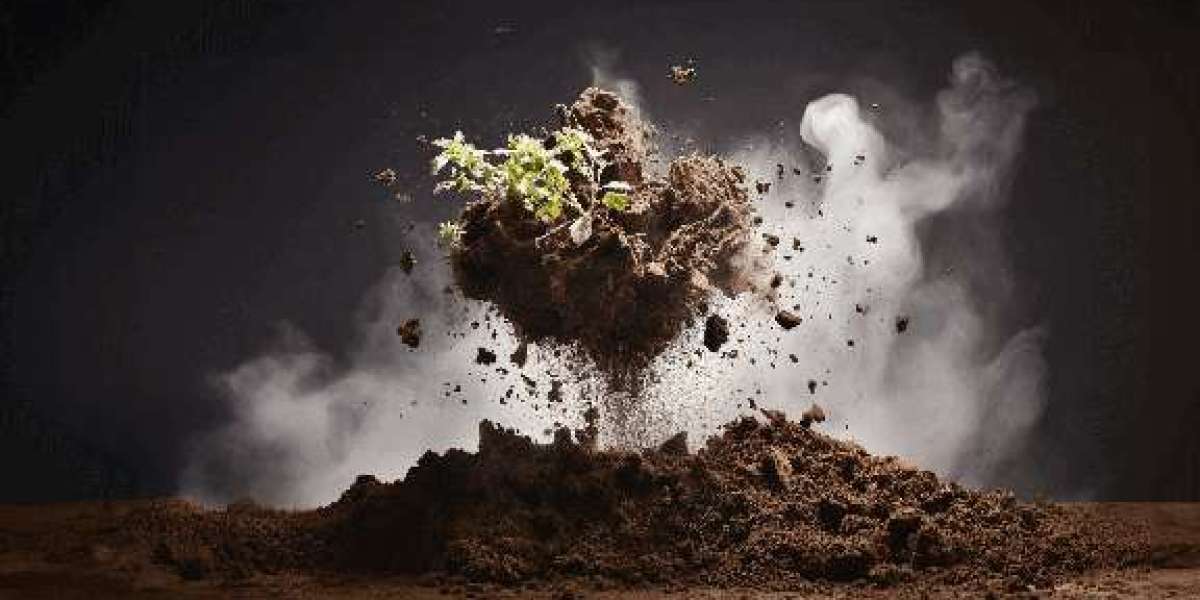 Automation Solutions for Enhanced Efficiency in Agricultural and Food Processing