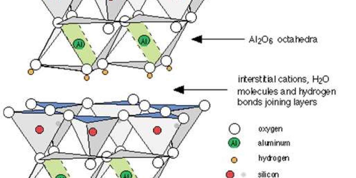 Global Nanoclays Market Performance and Growth Forecast