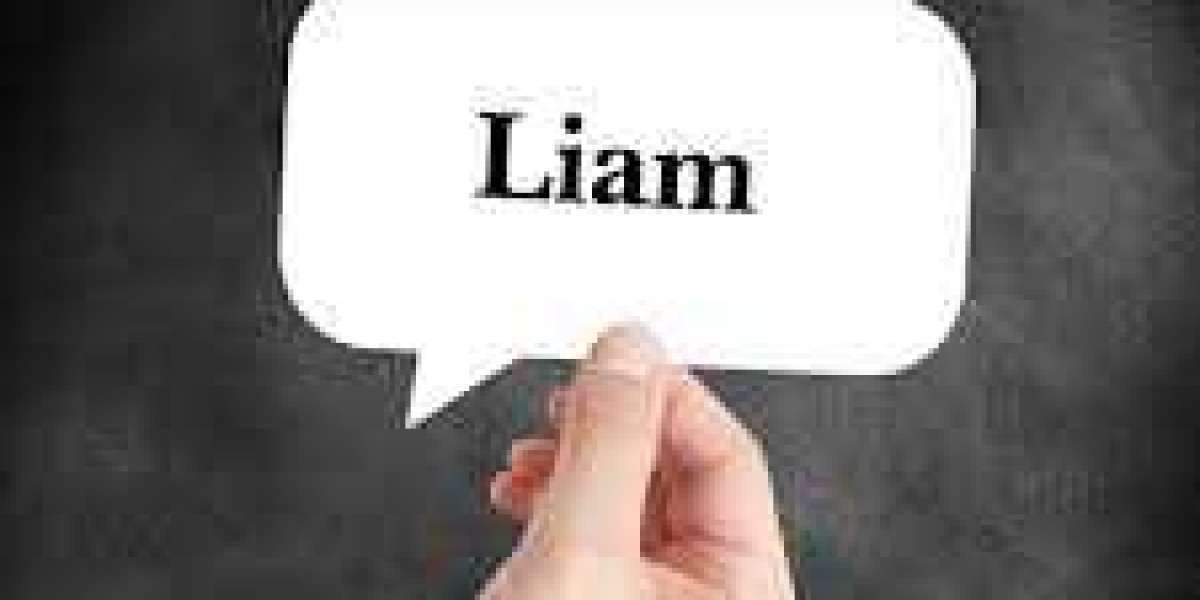 CEO Email Lists Database for Lead Outreach