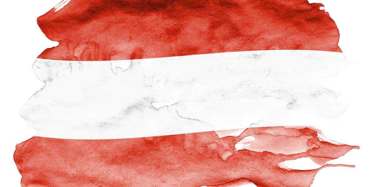 The Austrian Drivers License Vendor Case Study You'll Never Forget