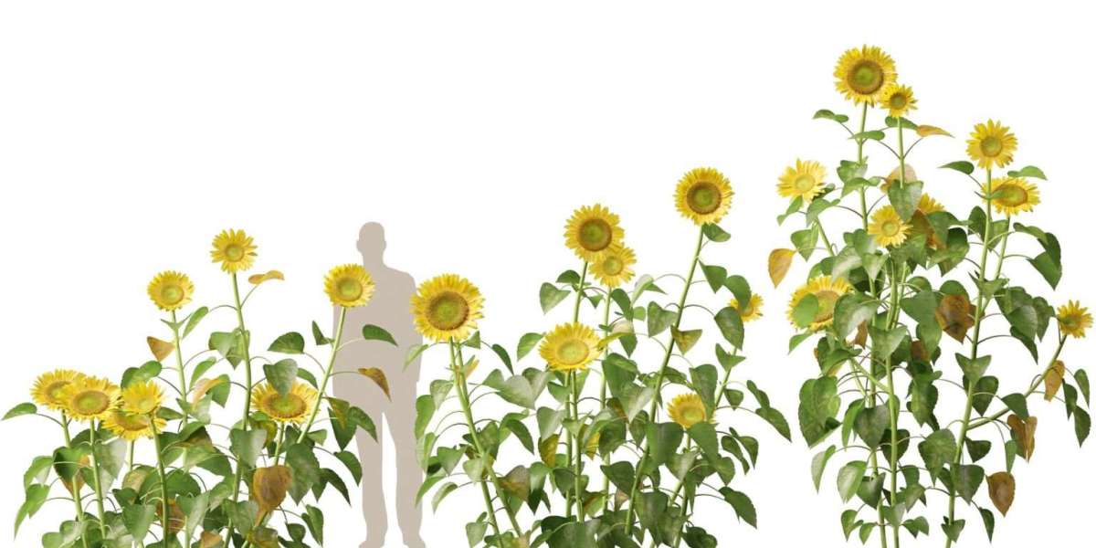 High-Quality BIM Plants 3D Models for Realistic Architectural Visualizations