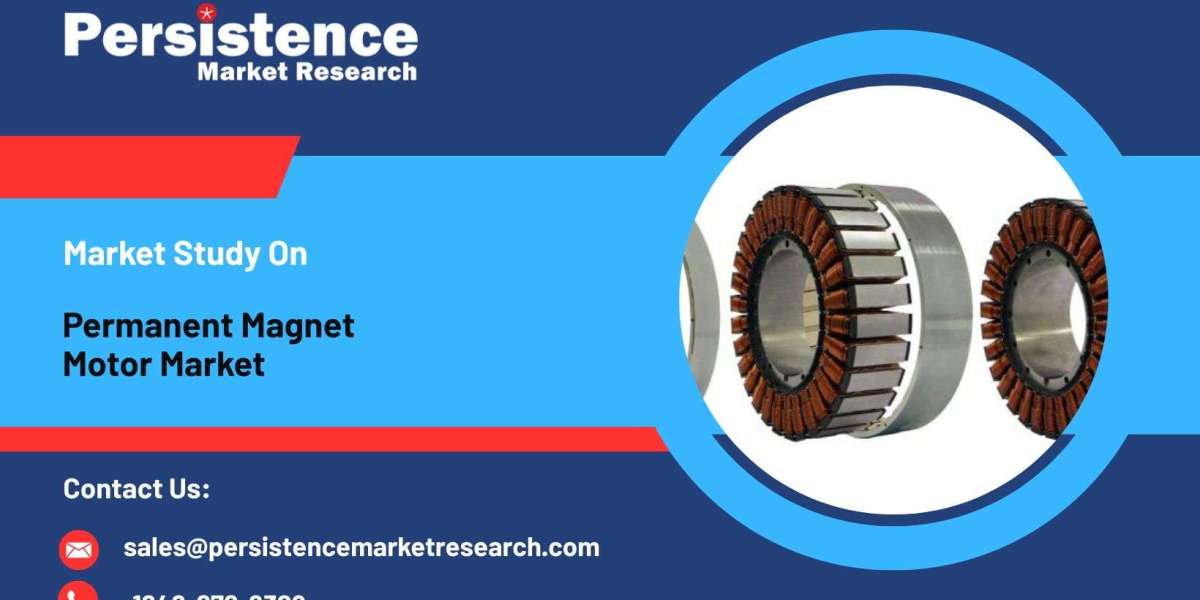 Permanent Magnet Motor Market Growth Drivers: Rare-Earth Materials and EV Adoption