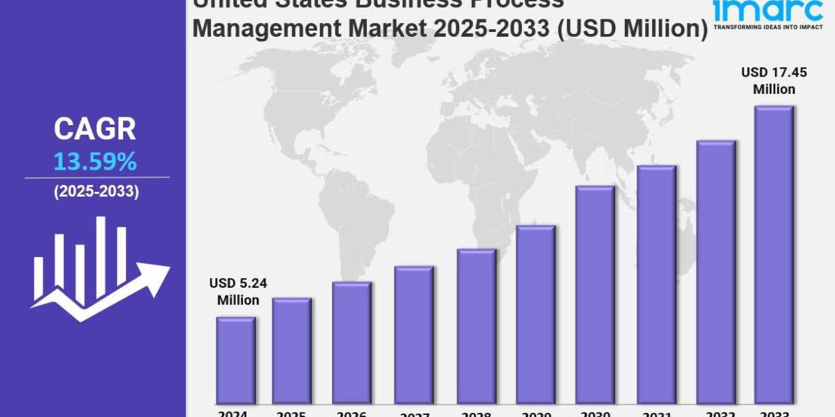 United States Business Process Management Market Size, Share, Industry Overview, Trends and Forecast Report by 2033