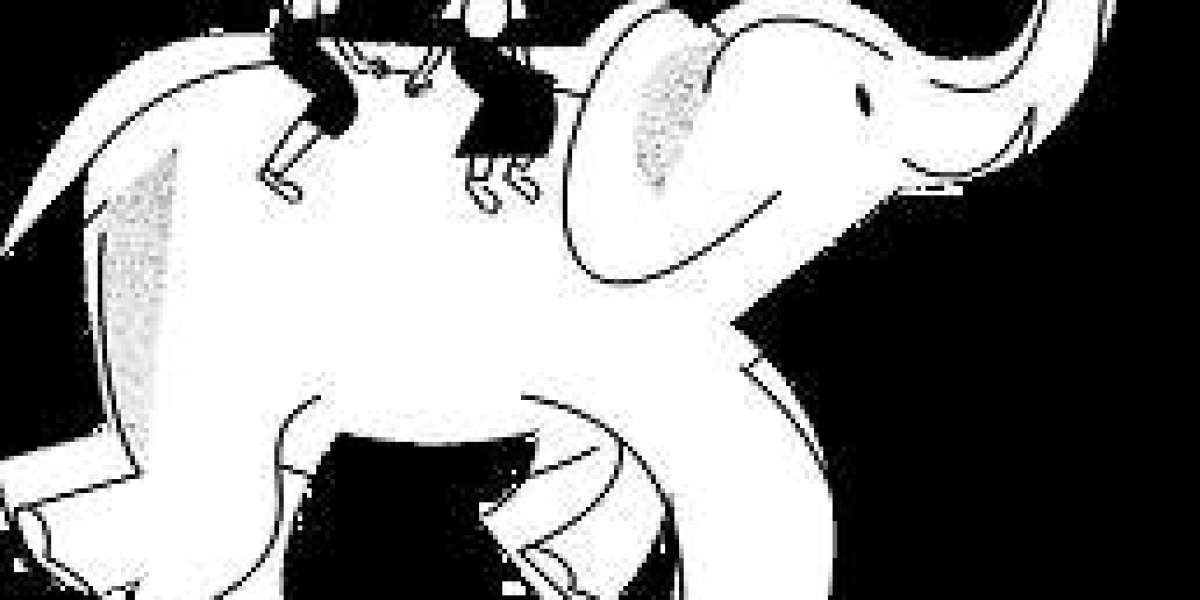 Transform Your Brand with Data-Driven Marketing Solutions