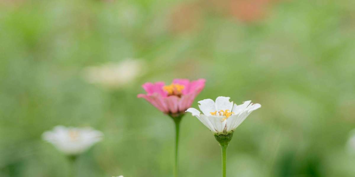 u4gm How to Get Pokemon TCG Pocket Redemption Codes Fast