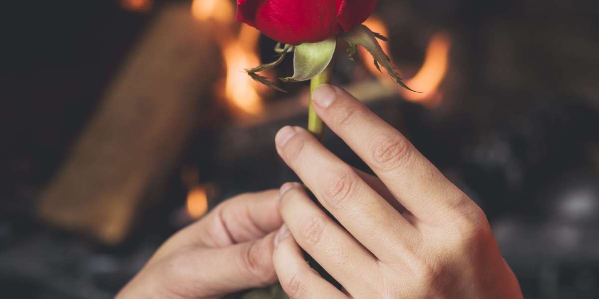 How a plant-based dinner date turned into my best night yet