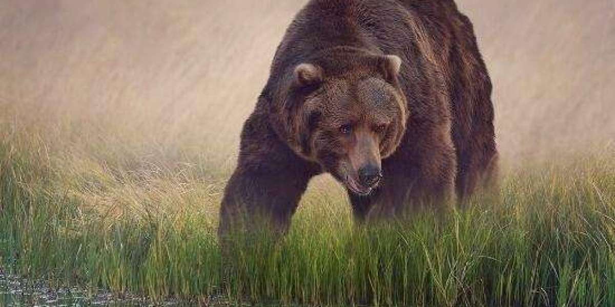 Lease-Leaseback and Design-Build Construction Method