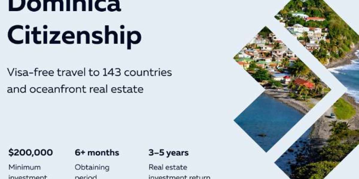 Dominica Citizenship by Investment Program for Wealth Protection