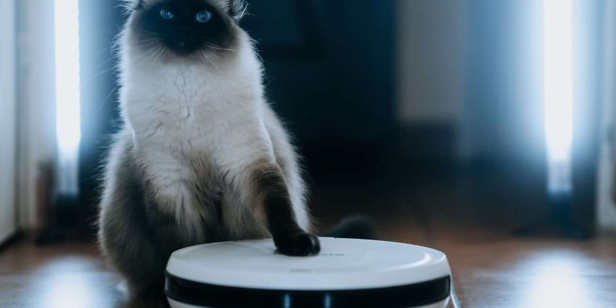 Forget Best Robot Vacuum For Pet Hair Self Emptying: 10 Reasons Why You Do Not Need It