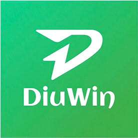 diuwin game Profile Picture