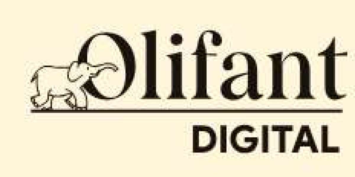 Unlock Growth with Olifant Digital Performance Marketing