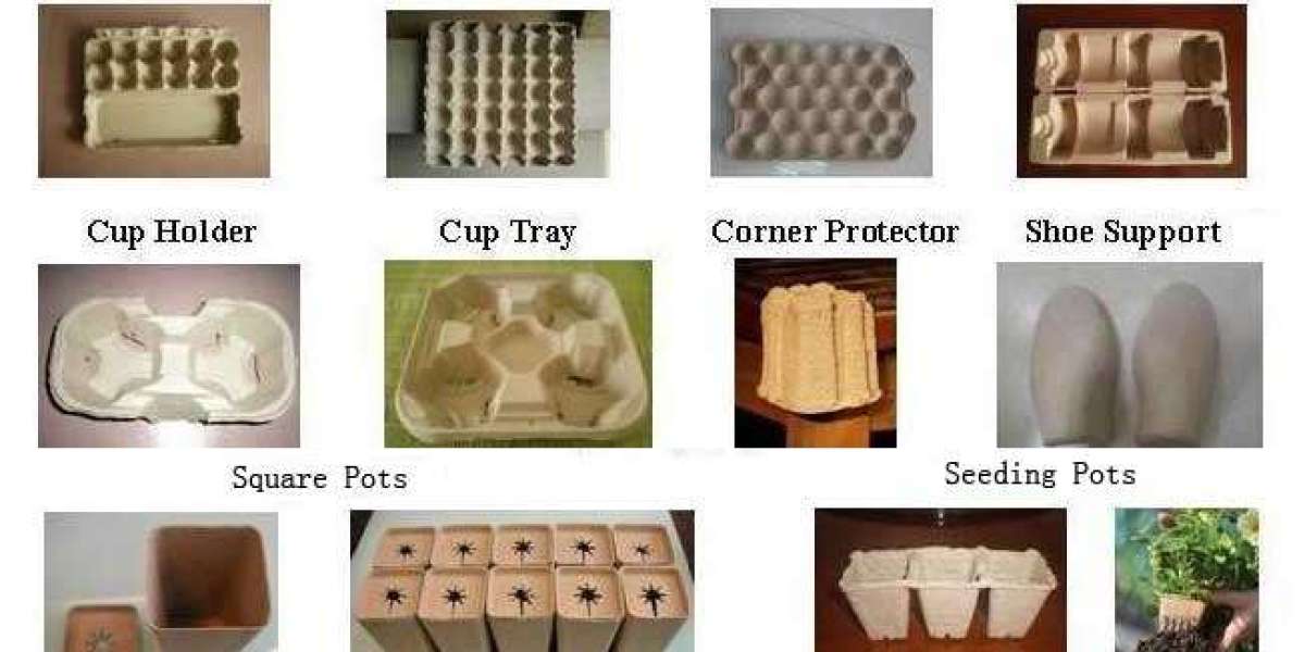 Europe Molded Pulp Packaging Market Trends and Growth Forecast with Competitive Insights