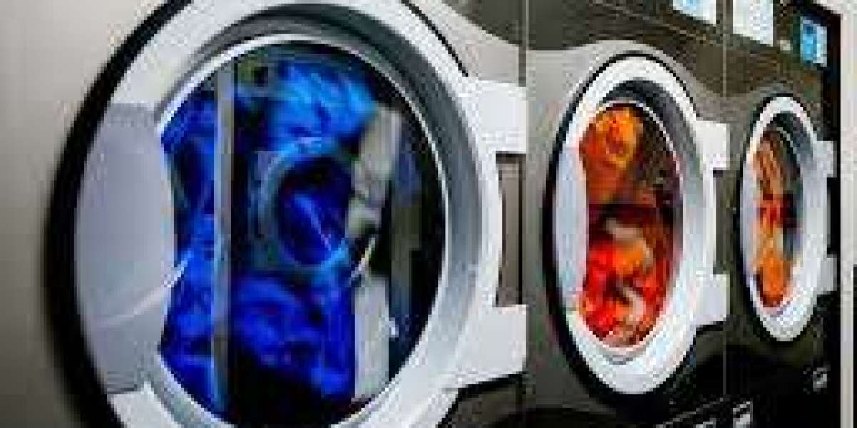 Best Shoe Cleaning Service for Fresh & Hygienic Footwear