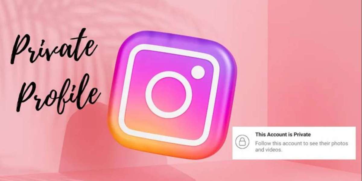 Organic Instagram Success Without Paid Advertisements