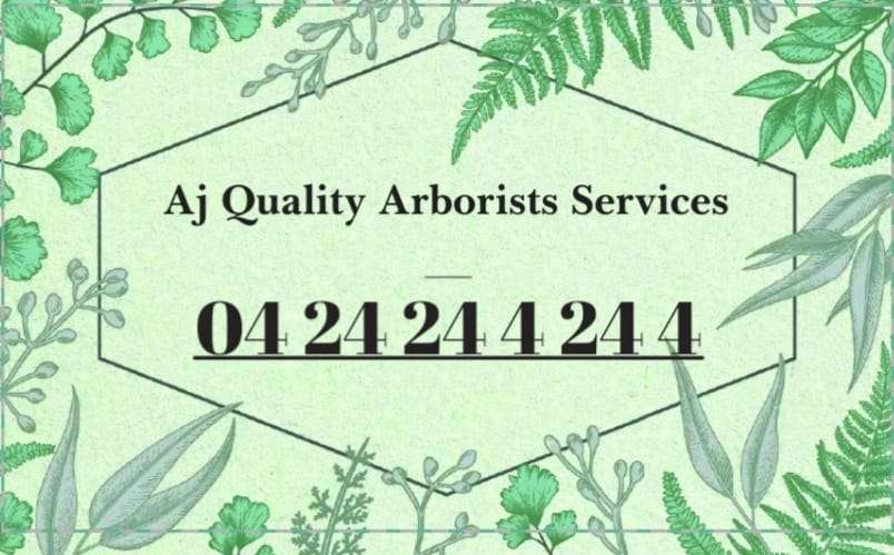 Aj quality Arborists Profile Picture