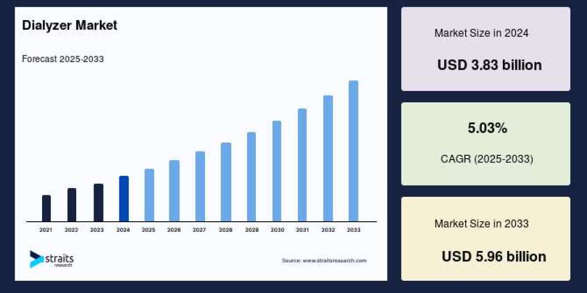 Dialyzer Market Overview: Sales Dynamics, Consumption Trends, and Consumer Behavior Through 2033