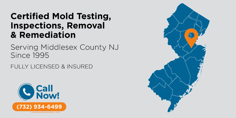 Mold Removal & Remediation Middlesex County, NJ | Mold Inspection & Testing