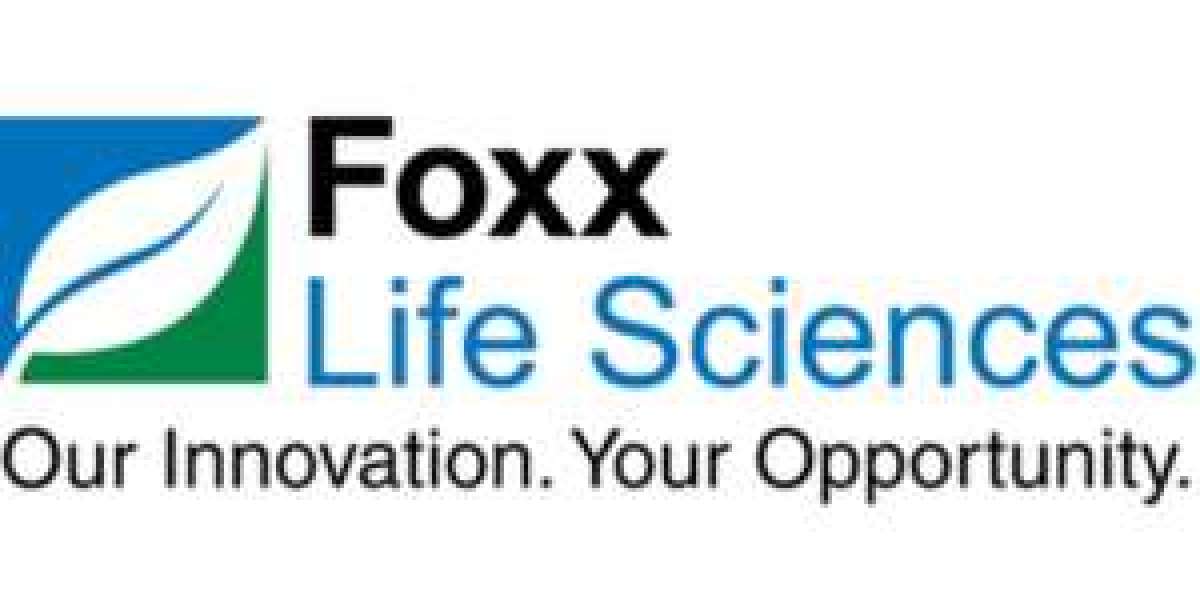 Glass erlenmeyer flask