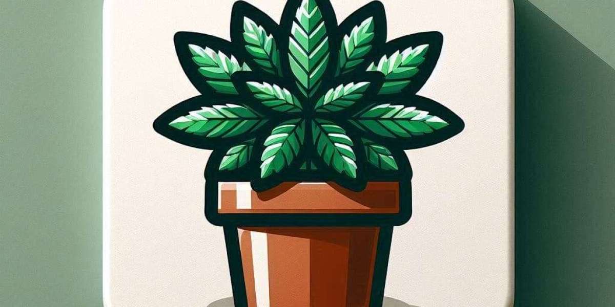 White Widow Smacks the Nose, in a Good Way