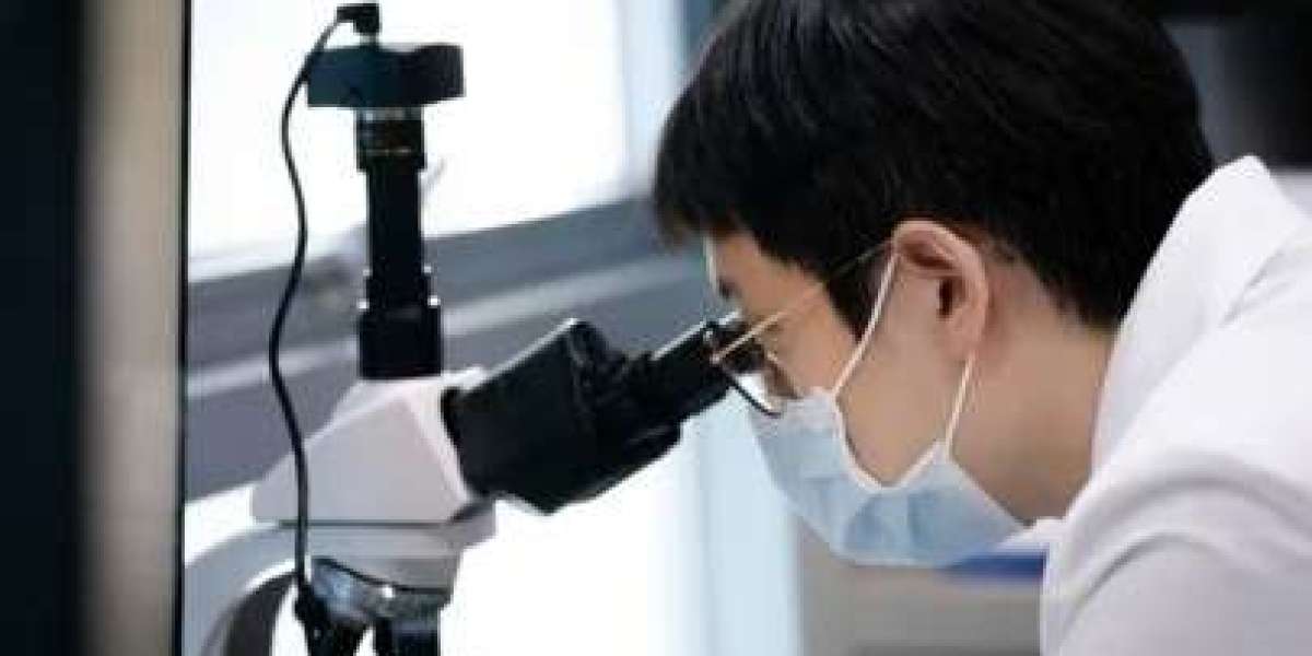 Discover Expert Eye Care at SNU Eye Clinic